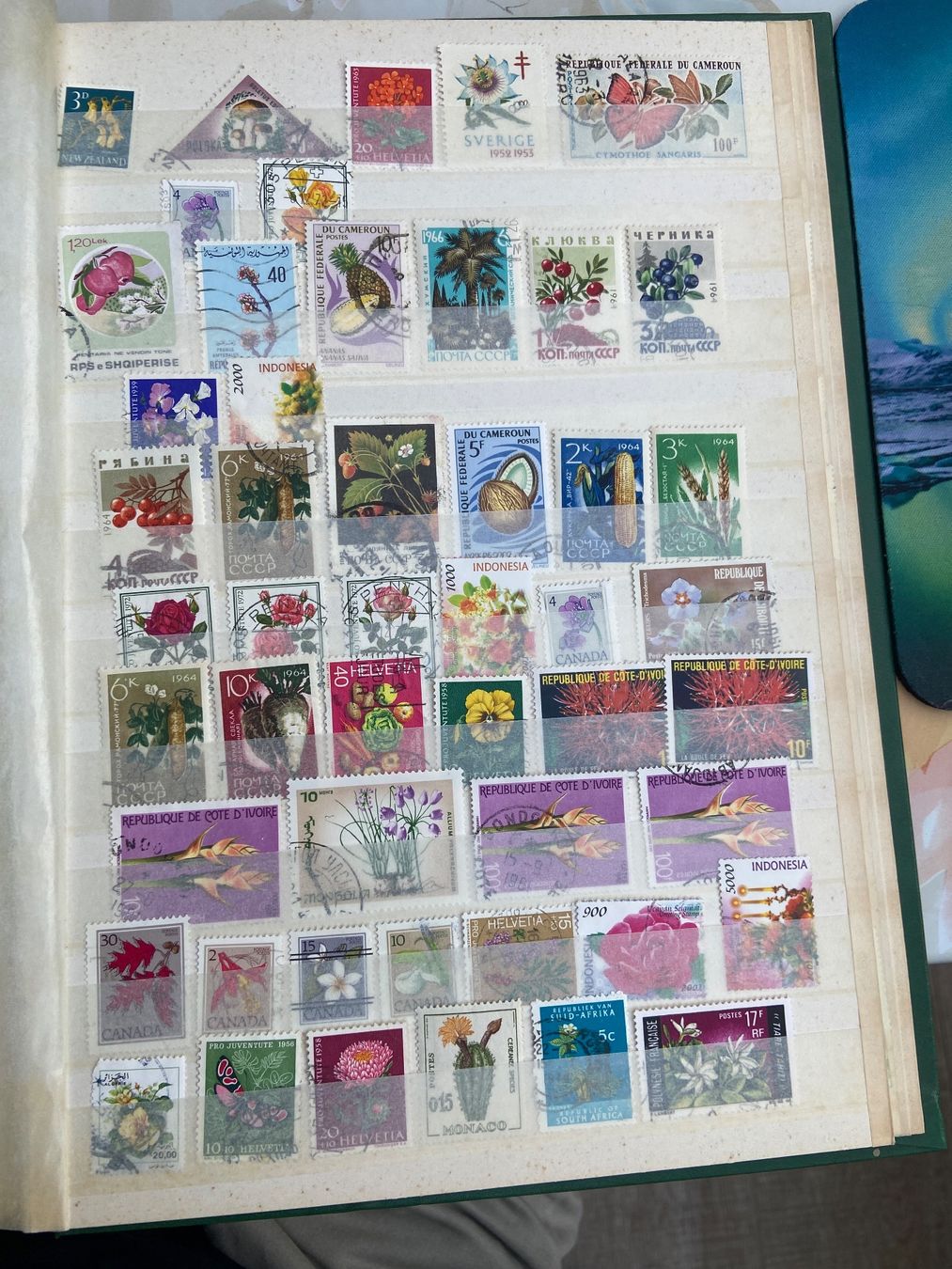 Tutti i francobolli: timbres floraux mondial 4 pages+ – Usato da Collex venduto da RCXGJ 3