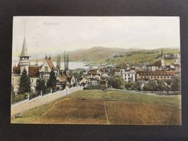 Wädenswil   Ansichtskarte  Zürich  Zürichsee   1907