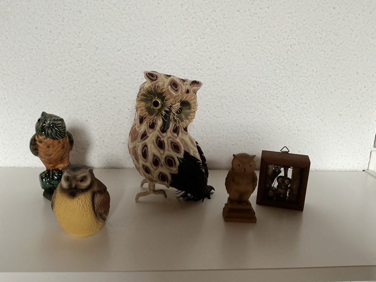 Statuette: Eulen: Figurenset mit 5 Eulen – Usato da Malters venduto da MichaelSCH72