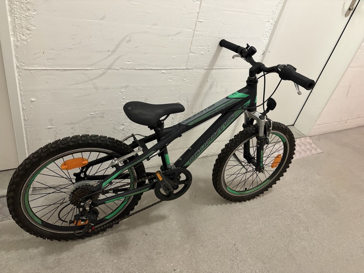 Leopard Biciclette: Kinder Velo Leopard 20 Zoll – Usato da Möhlin venduto da Nilo9013 2