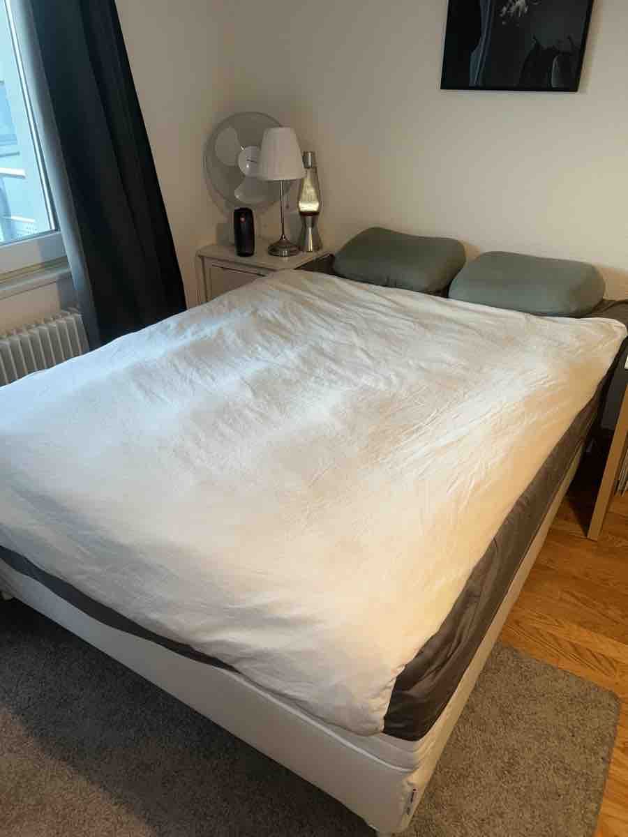 tasse einpacken geschenk Geschenke Ovale leere Shampoo-Flaschen Weiß