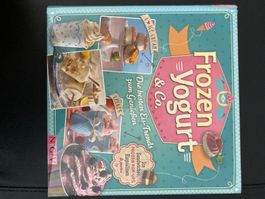 Frozen Yogurt  Kochbuch
