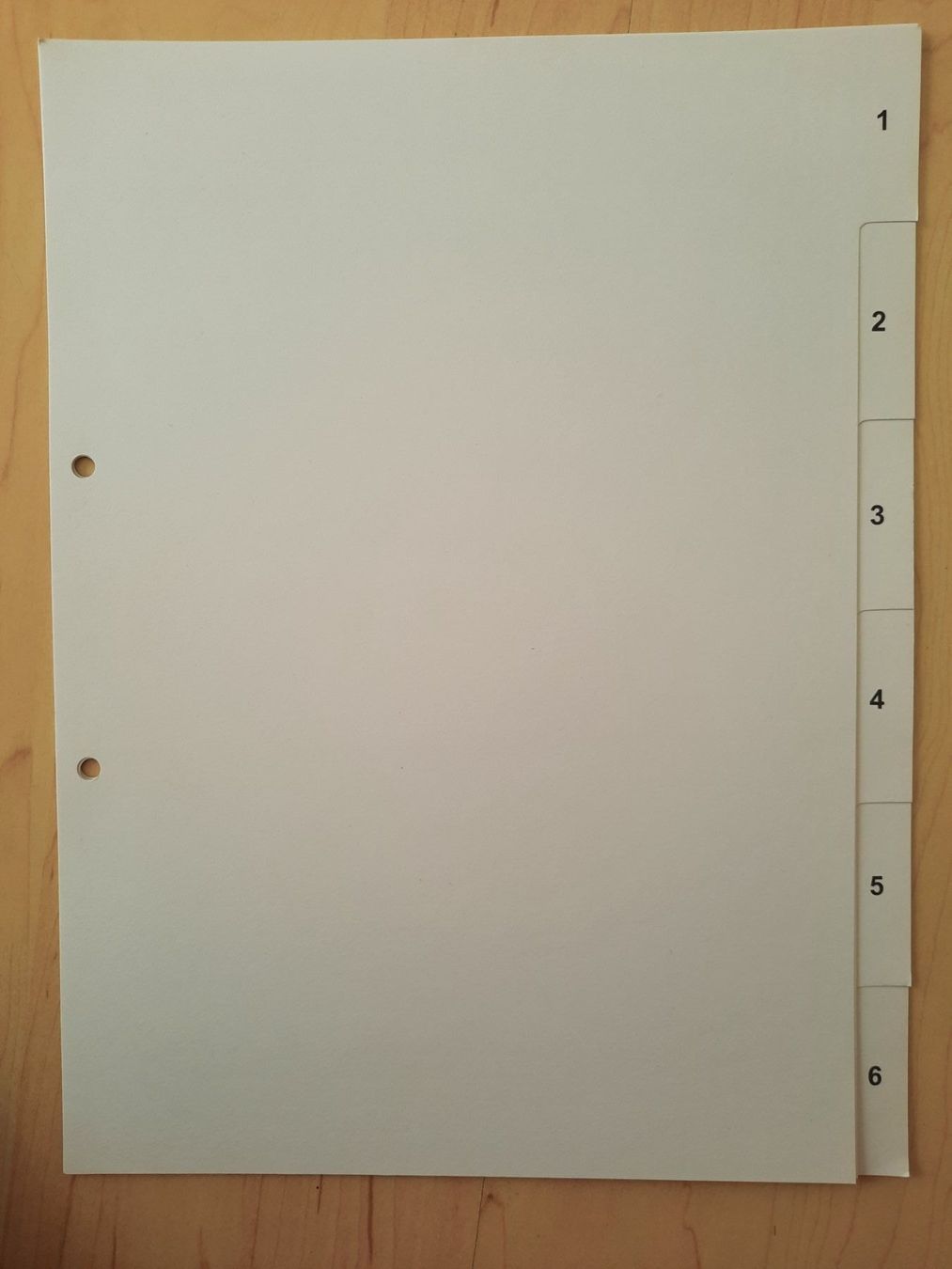 Raccoglitori: Ordner Register 1-6 – Nuovo (secondo la descrizione) da Niederglatt ZH venduto da Bobsli
