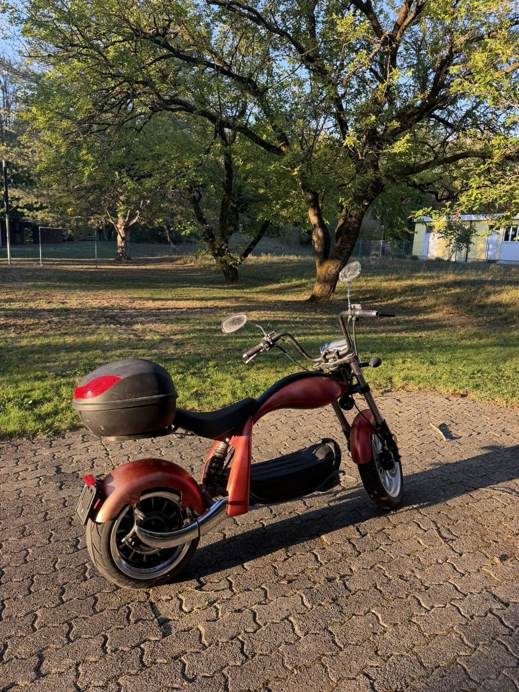 Citycoco Scooters: Dogebos M4 CityCoco E-Roller  – Gebraucht aus Embrach von nok84 2