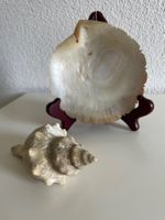 2 Wunderschöne Muscheln Deko