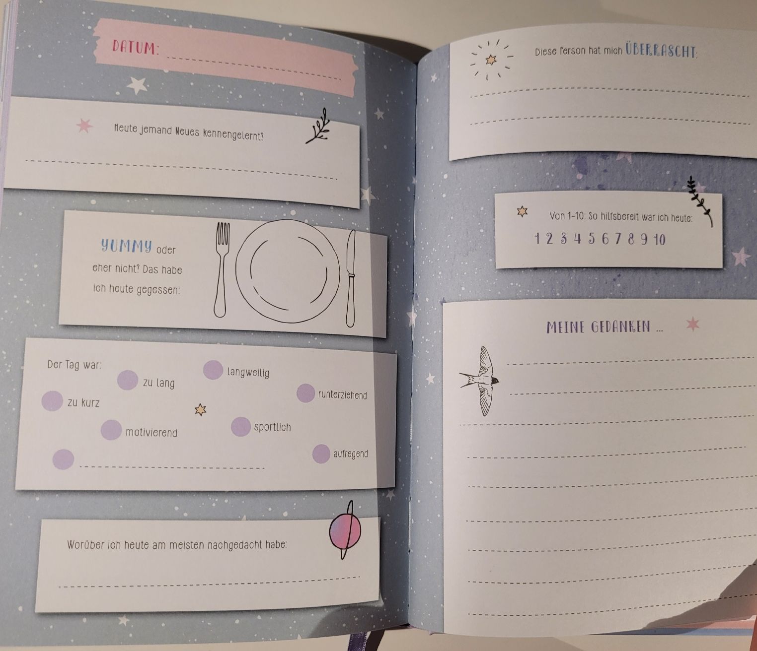 Libri: Das etwas andere Tagebuch – Nuovo (secondo la descrizione) da Regensdorf venduto da lar_wz5l 2