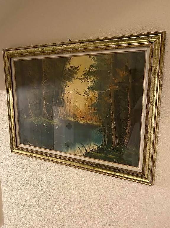 Foto & Immagini: Schönes Bild mit goldigem Rahmen – Usato da Spreitenbach venduto da fmg_h5jj 1