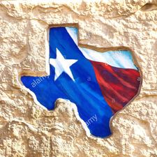 Profile image of TheTEXAN