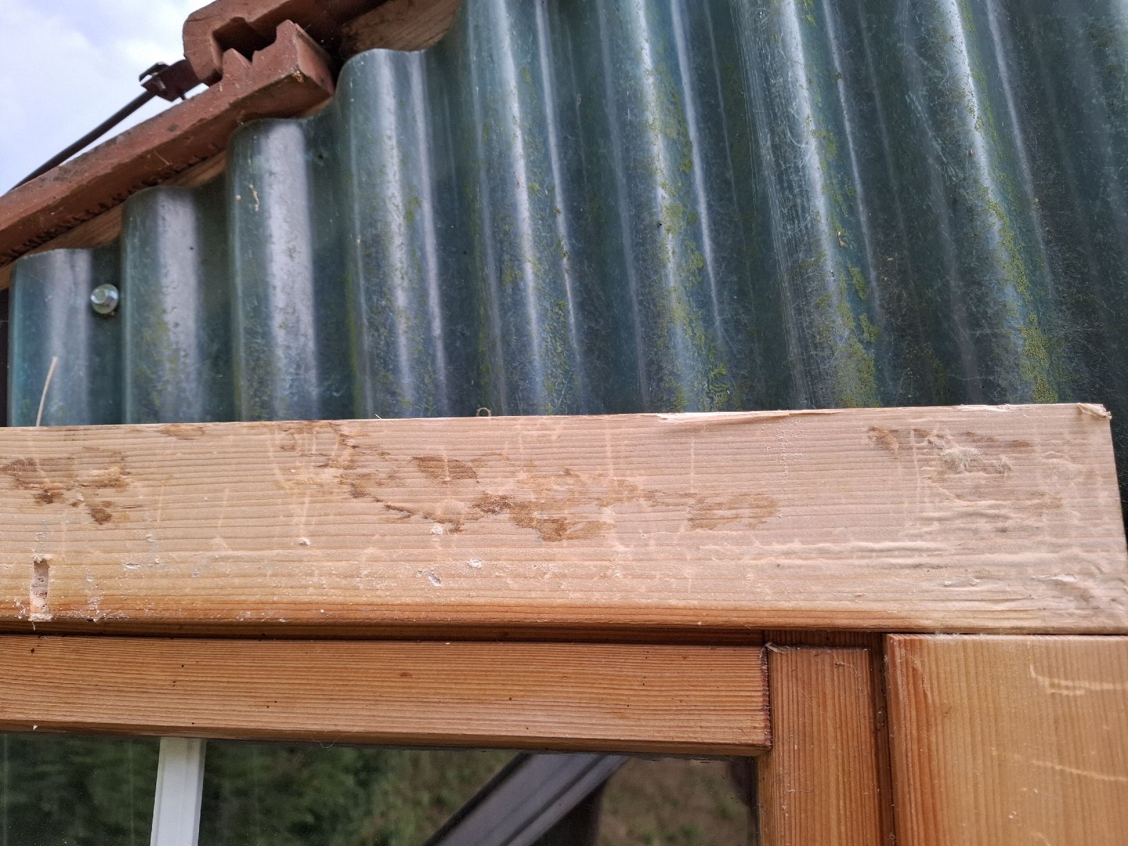 Finestre: Holzfenster mit Isolierverglasung – Usato da Bowil venduto da Yfazer 2