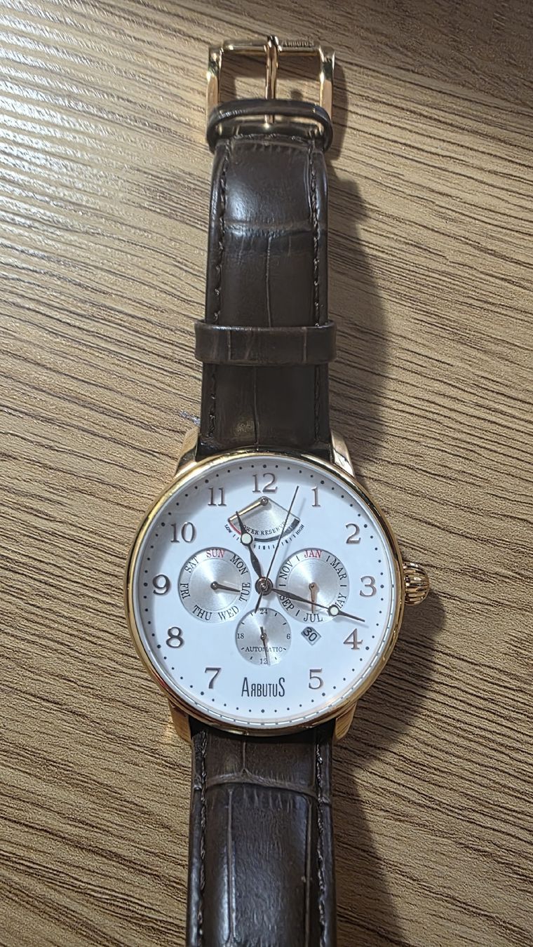Orologi: Arbutus Automatic Watch – Usato da Zürich venduto da Asimpleguy 1
