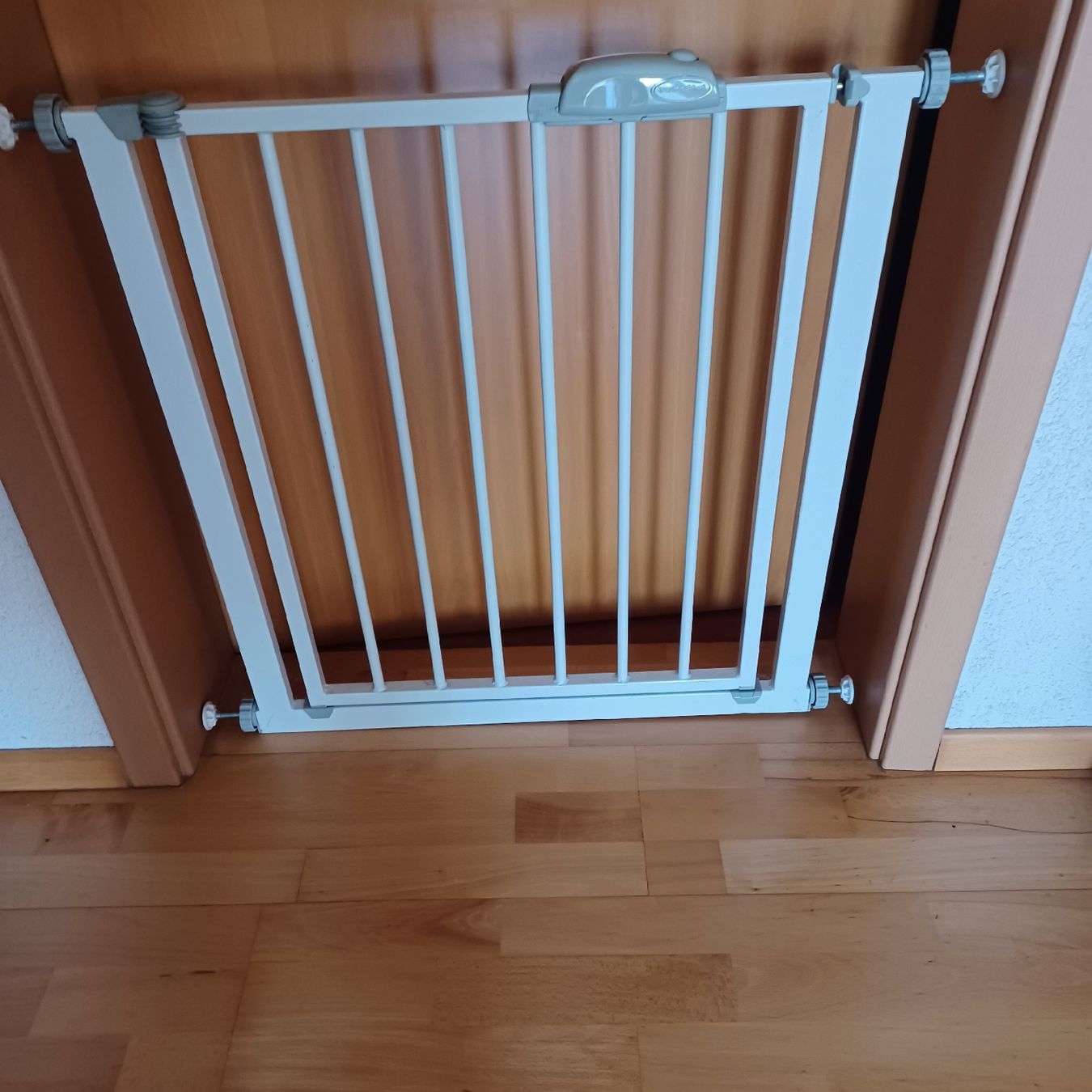 Autres: Absperrgitter , Türgitter , Treppengitter – D'occasion à Waldkirch par Fantasia-101 1