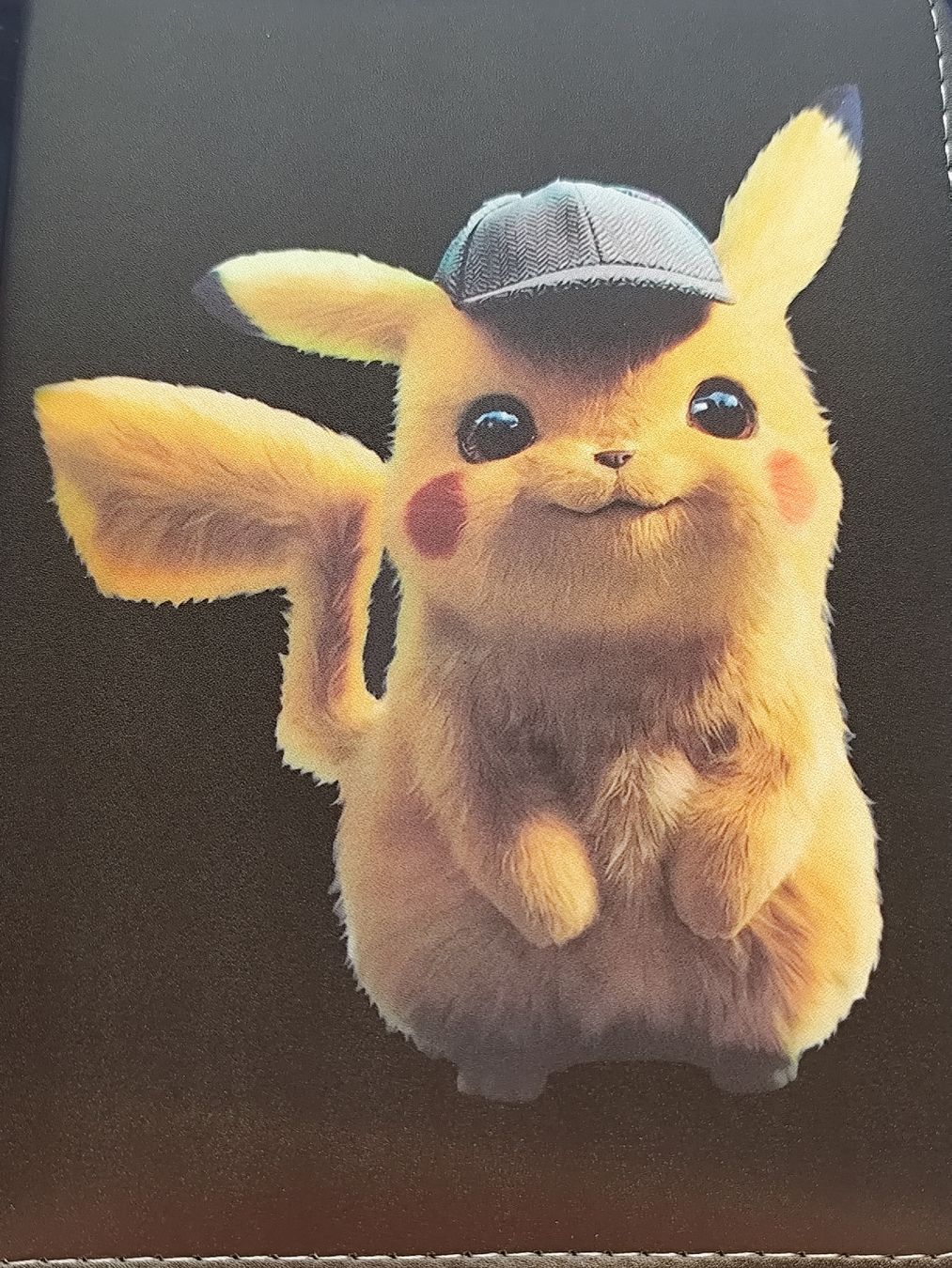Pokémon Cartes à collectionner: Pokemon Lederbinder mit ein paar Karten – Neuf (Voir description) à Schlossrued par LAP2012