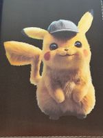 Pokemon Lederbinder mit ein paar Karten