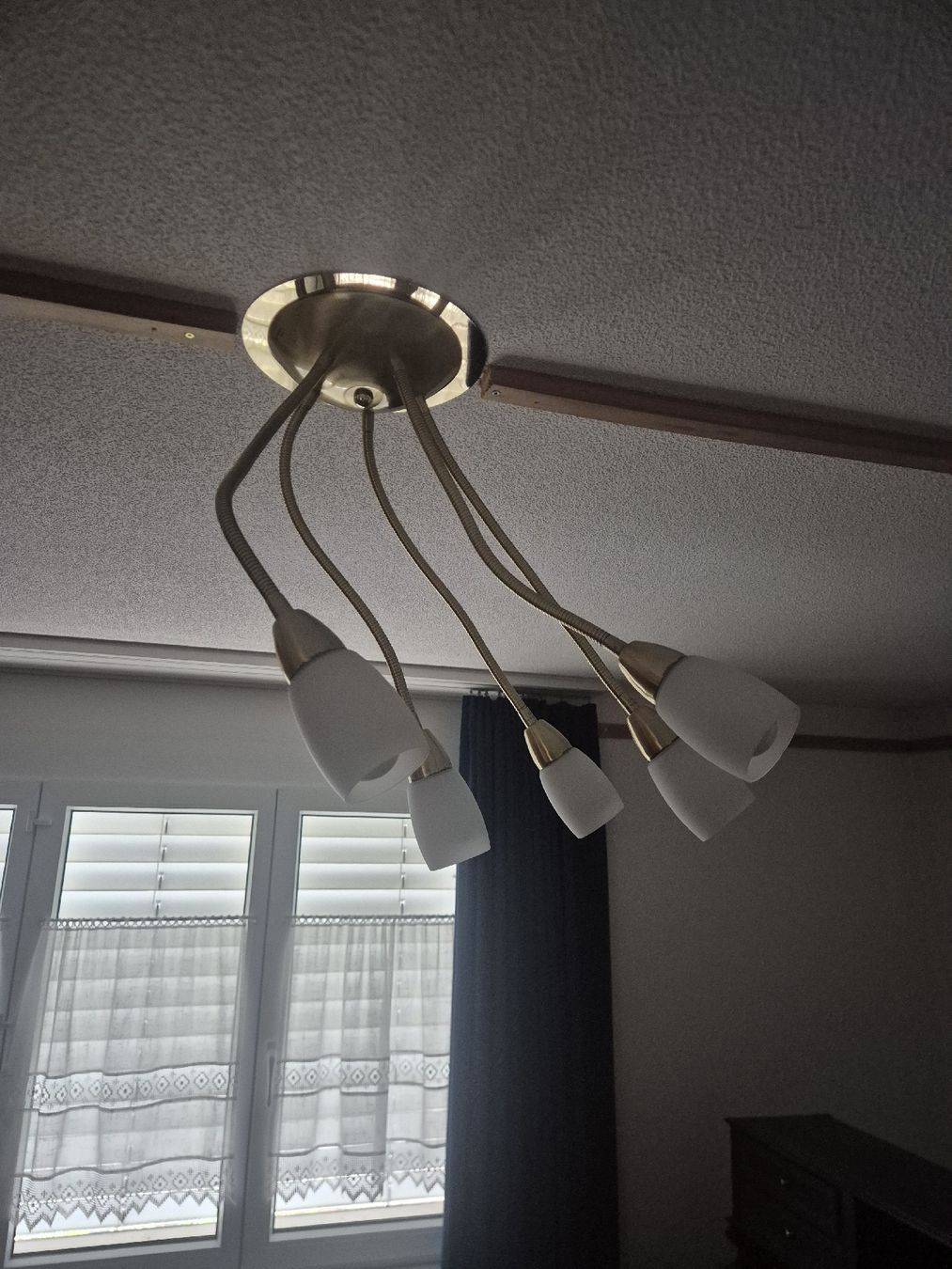 Lampadari & plafoniere: Paul Neuhaus Deckenlampe – Usato da pfäfers venduto da icelantic 4