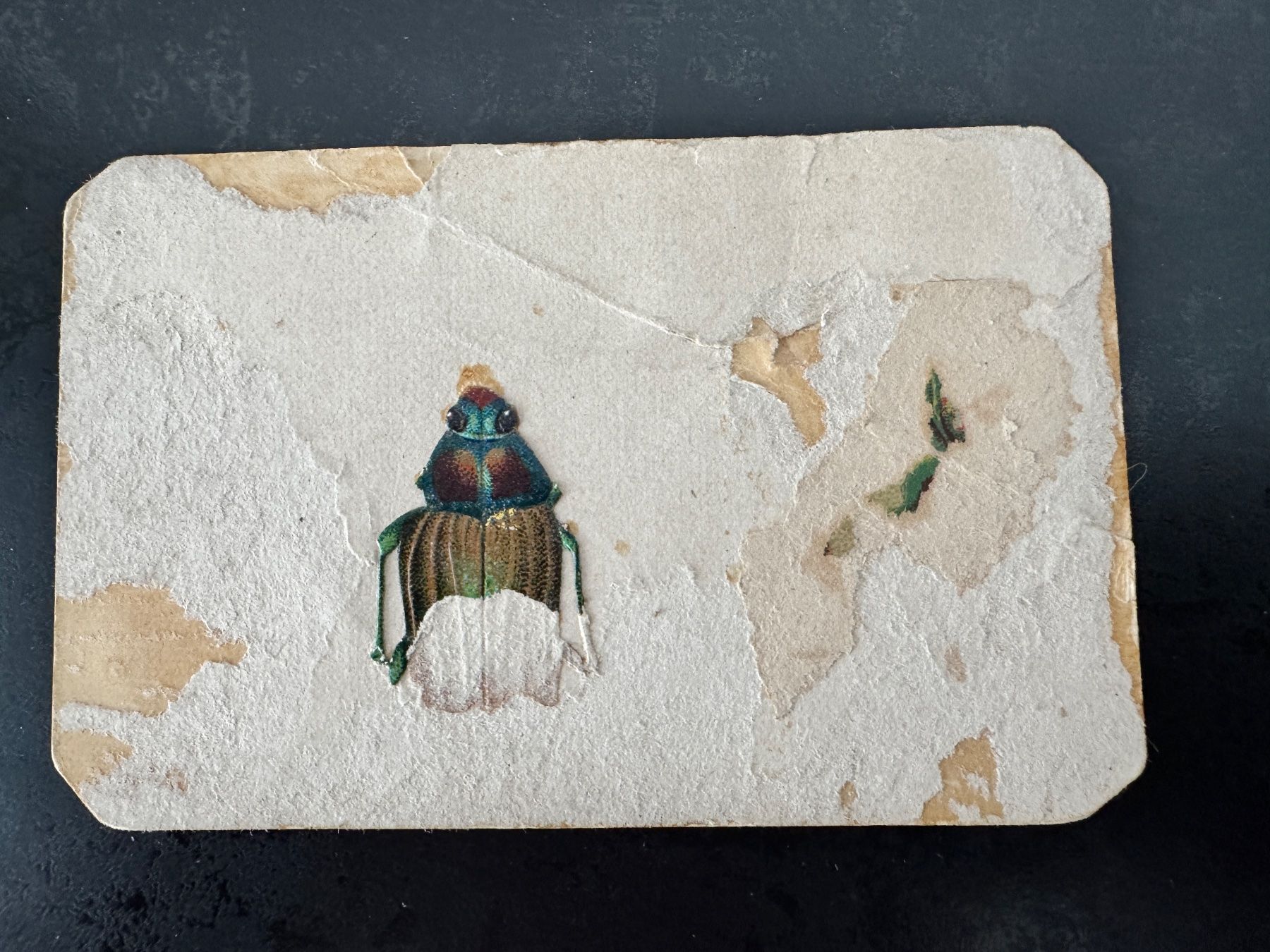 Cartoline postali: Altes Papier-Ephemera mit Katzenmotiv – Usato da Egg b. Zürich venduto da chantilly-lace 1