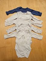 Body langarm 62