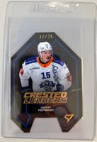 EV Zug Crested Leaders Gold Gregory Hofmann 32/35