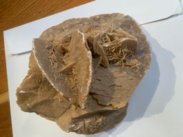Sandrosen aus der Sahara