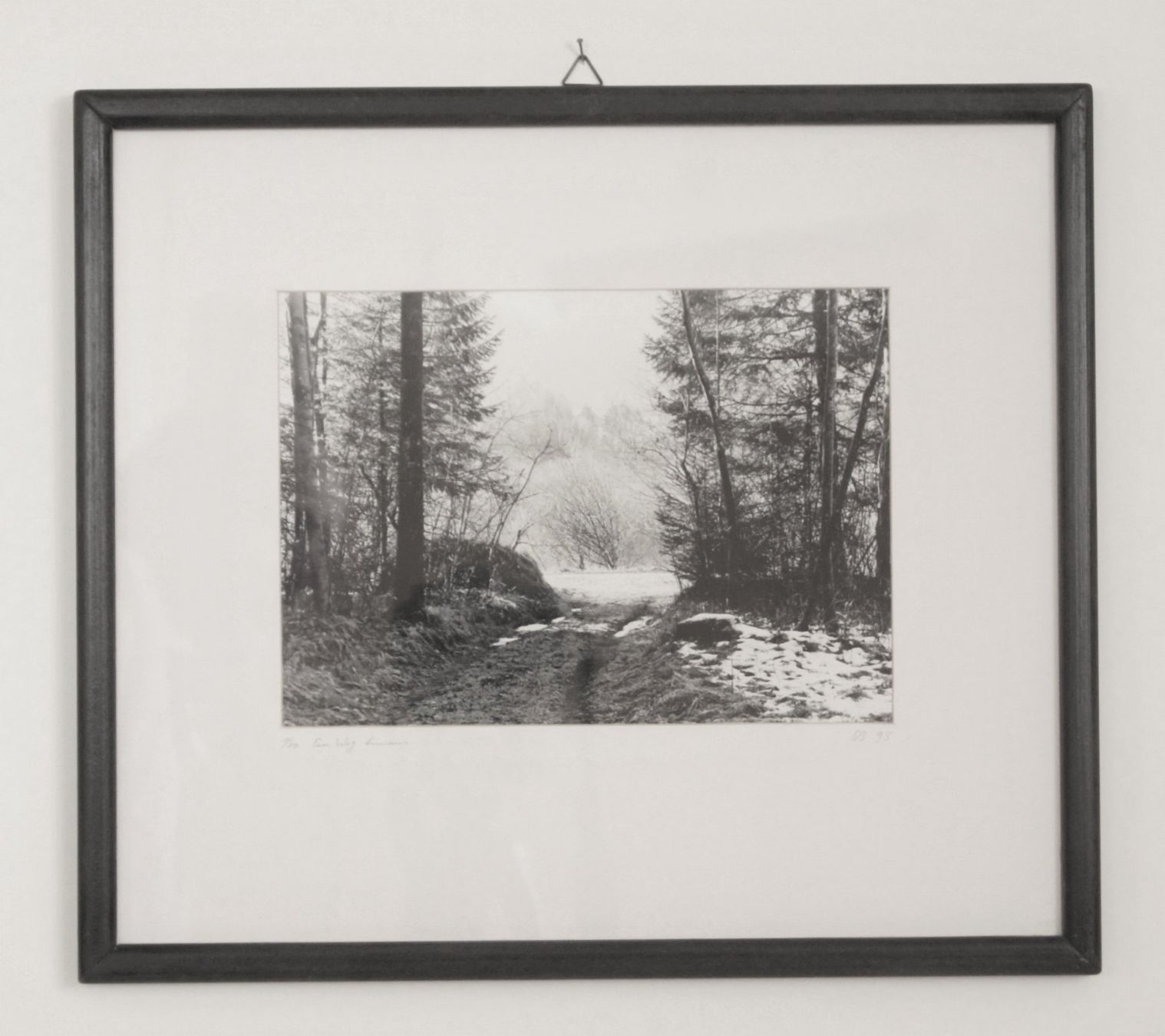 Foto & Immagini: Fotografie: Ein Weg hinaus – Usato da Fribourg venduto da erw_68dx