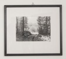 Fotografie: Ein Weg hinaus