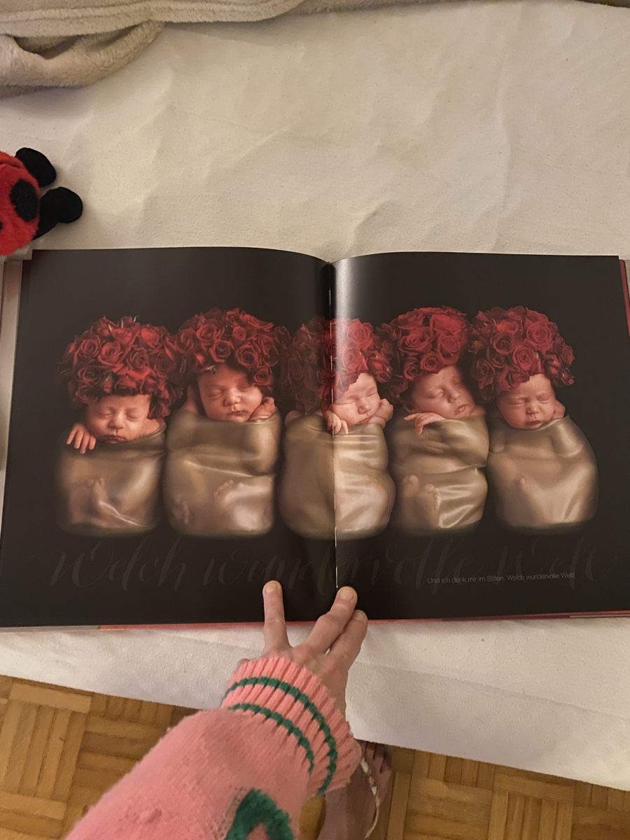 Libri: Anne Geddes Set – Nuovo e nell'imballaggio originale da Langenthal venduto da flower101 9