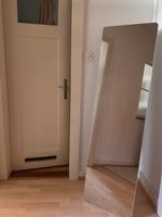 Stand-/Wandspiegel HxBxT 159x45x37