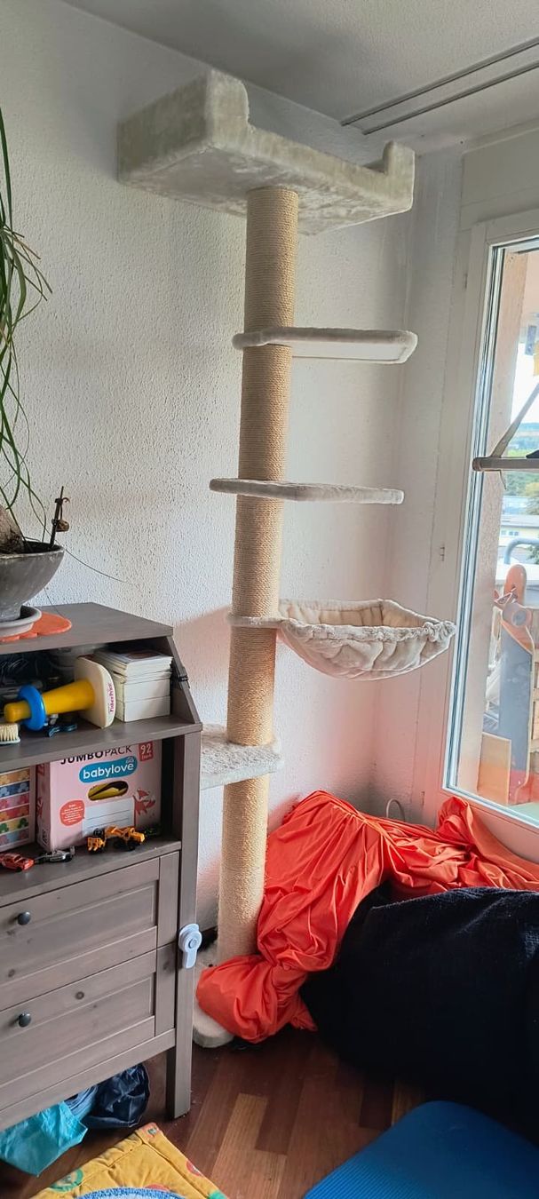 Arbres à chats: Katzenbaum Alexis 224cm gebraucht – D'occasion à Zürich par Averandomage 1