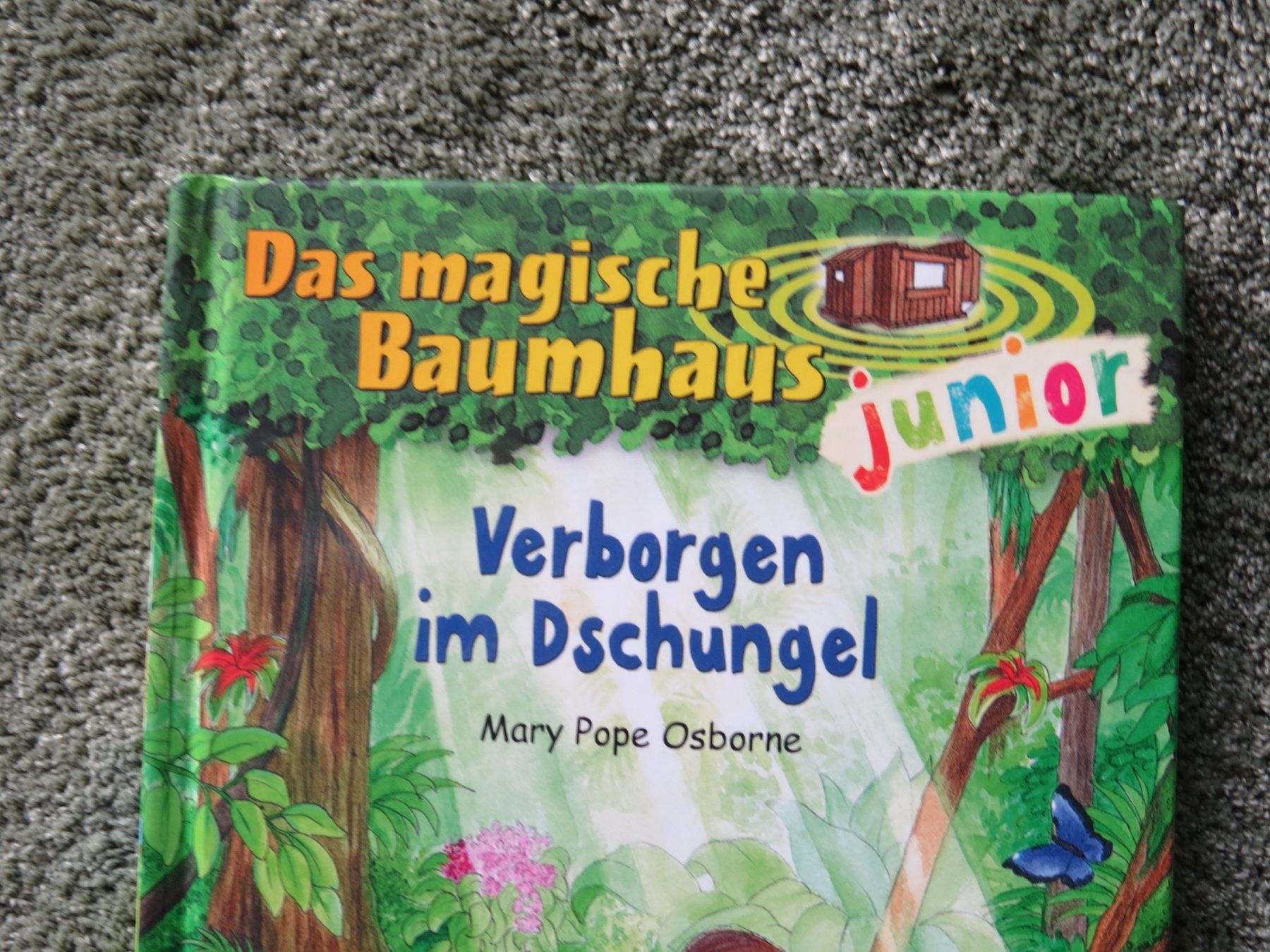 Libri: 2 Lesebücher für Leseanfänger – Usato da Langenthal venduto da Steinadler129 1