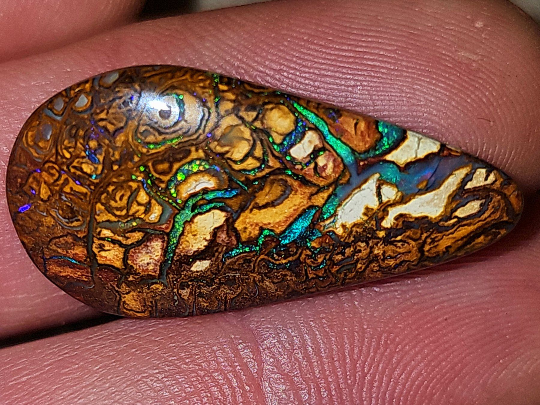 Pietre preziose: Australischer (Koroit) Boulder Opal – Nuovo e nell'imballaggio originale da Uerkheim venduto da Winwinner 2