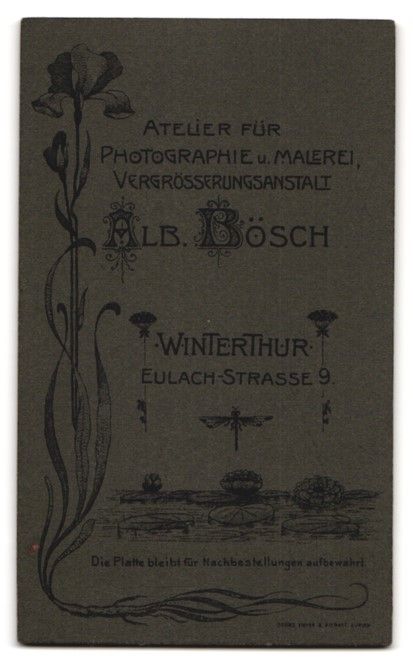 Fotografie &  Plakate: Fotografie Alb. Bösch, Winterthur, Eula – Gebraucht aus Berlin von bartko-reher 1