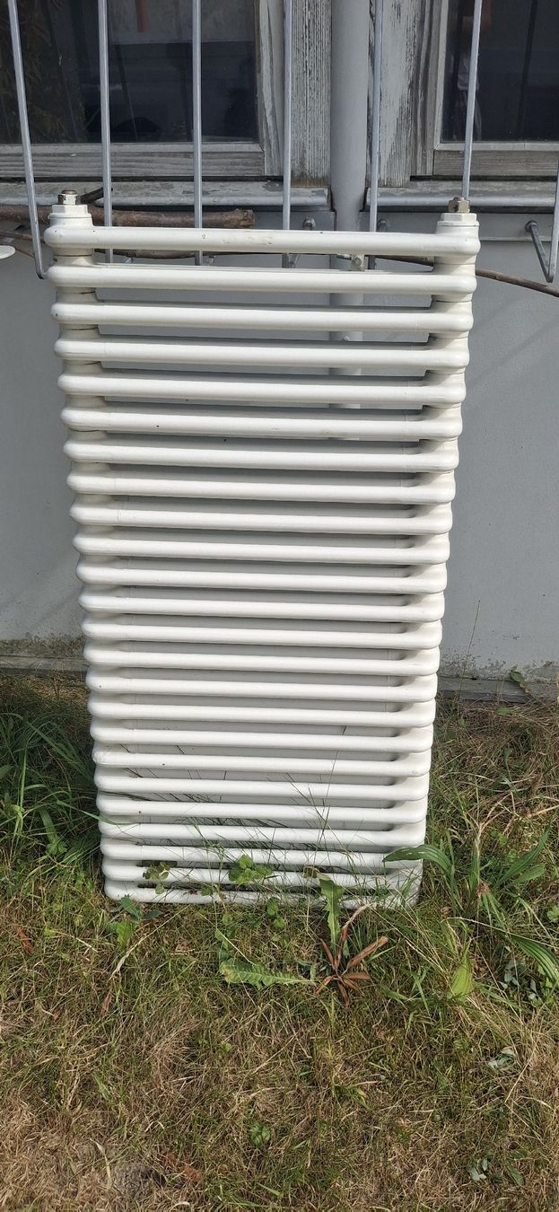 Heizgeräte: Radiator – Defekt aus Buttwil von mon_wsy9