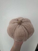 Herbst Deko | Zierkürbis 🎃 | NEU!