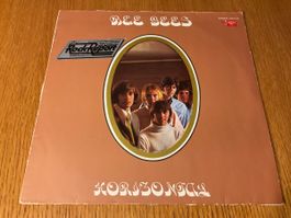 Bee Gees Horizontal Vinyl LP 1968 guter Zustand