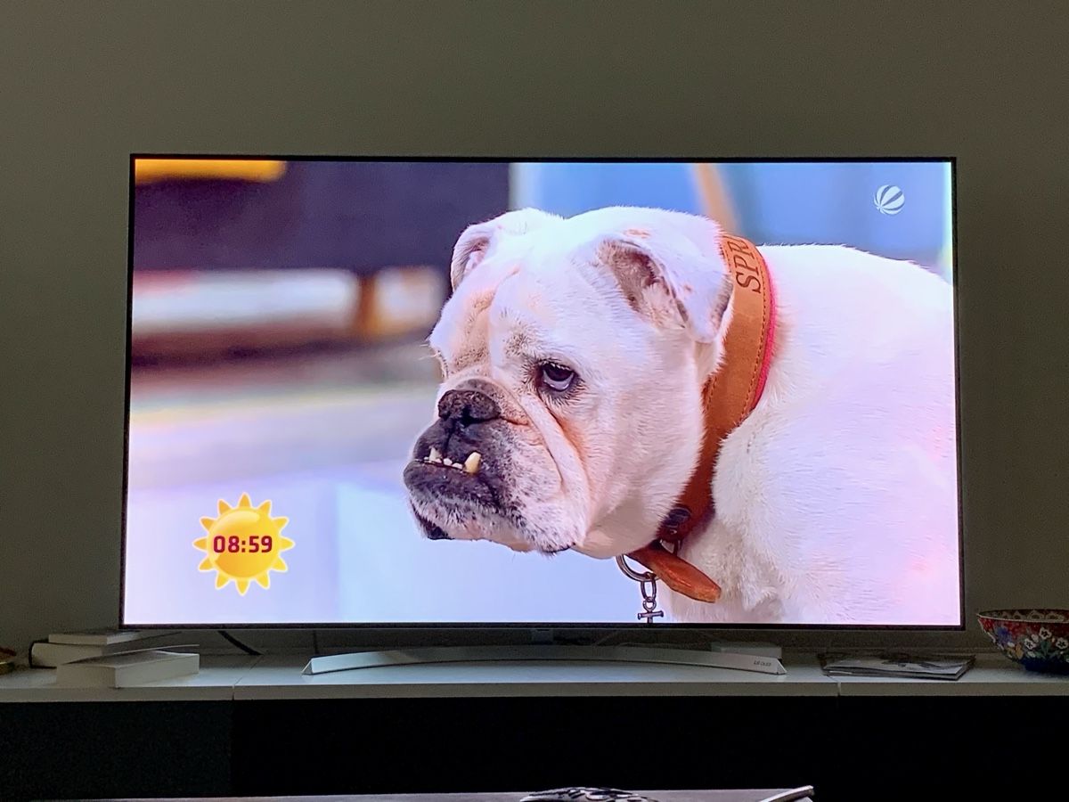 Appareils TV: LG OLED TV 65" (OLED65B7V) – D'occasion à Kirchberg SG par dpRepairs 1