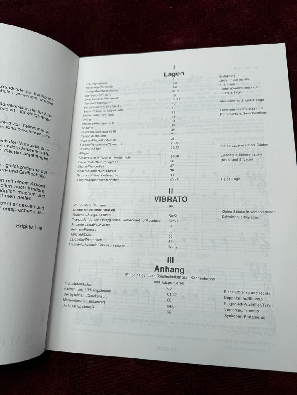 Libri: Noten Mein Geigenliederbuch von Brigitte Lee – Nuovo (secondo la descrizione) da Davos-Platz venduto da musikhauskollegger 1