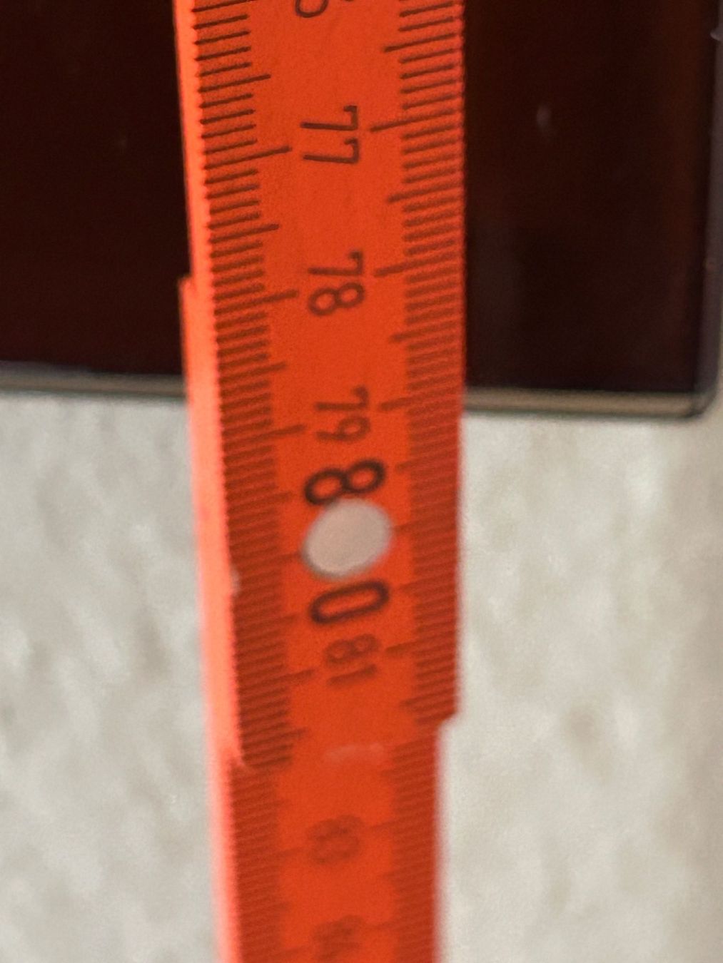 Foto & Immagini: Fotodruck auf Glas Elefant – Usato da Zuchwil venduto da bea_tl7p 3
