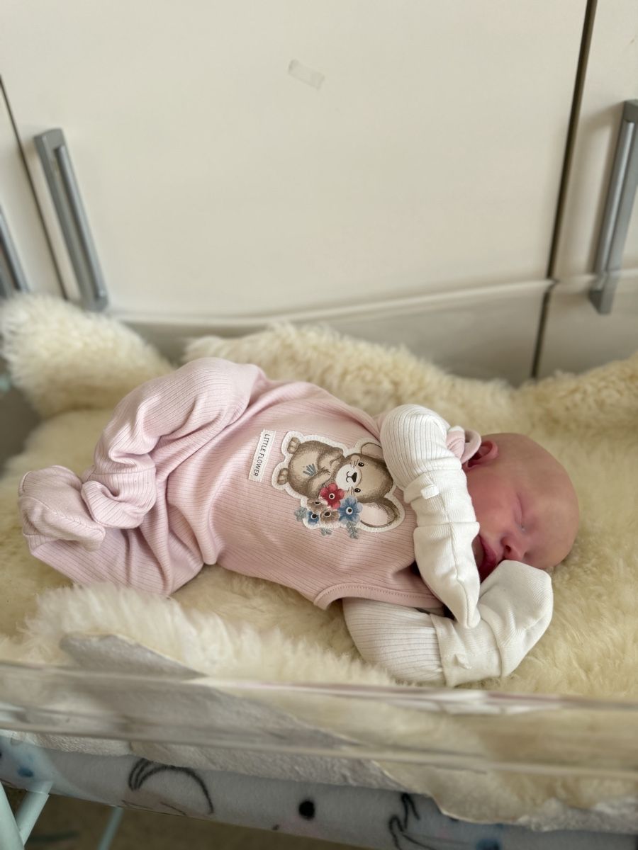 Reborn Puppen: Reborn – Neu (gemäss Beschreibung) aus Unterentfelden von van_m8g7 1