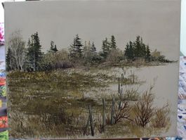 Paysage Hivernal