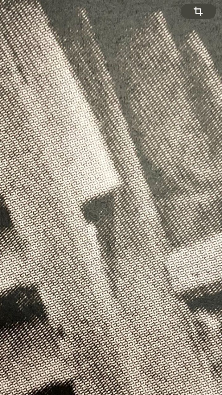 Foto & Immagini: Richard Greaves, Anarchitecte, Art Brut – Nuovo (secondo la descrizione) da Bern venduto da Vintage-Art-Poster 4