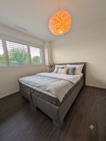 Boxspringbett taupe/braun 