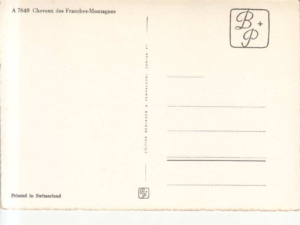 Cartoline postali: Franches Montagnes Chevaux, ca. 1960 – Usato da Bürglen TG venduto da StampGraf 1