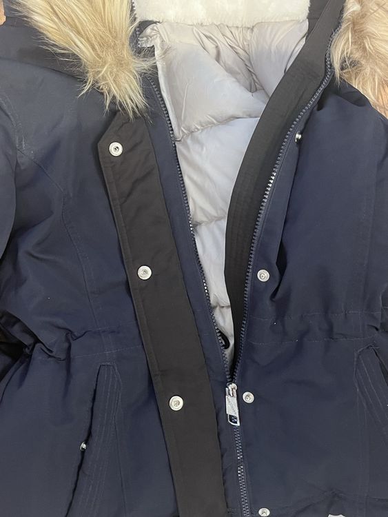 Hollister Winter Daunenjacke Damen Grösse S (Gebraucht) in