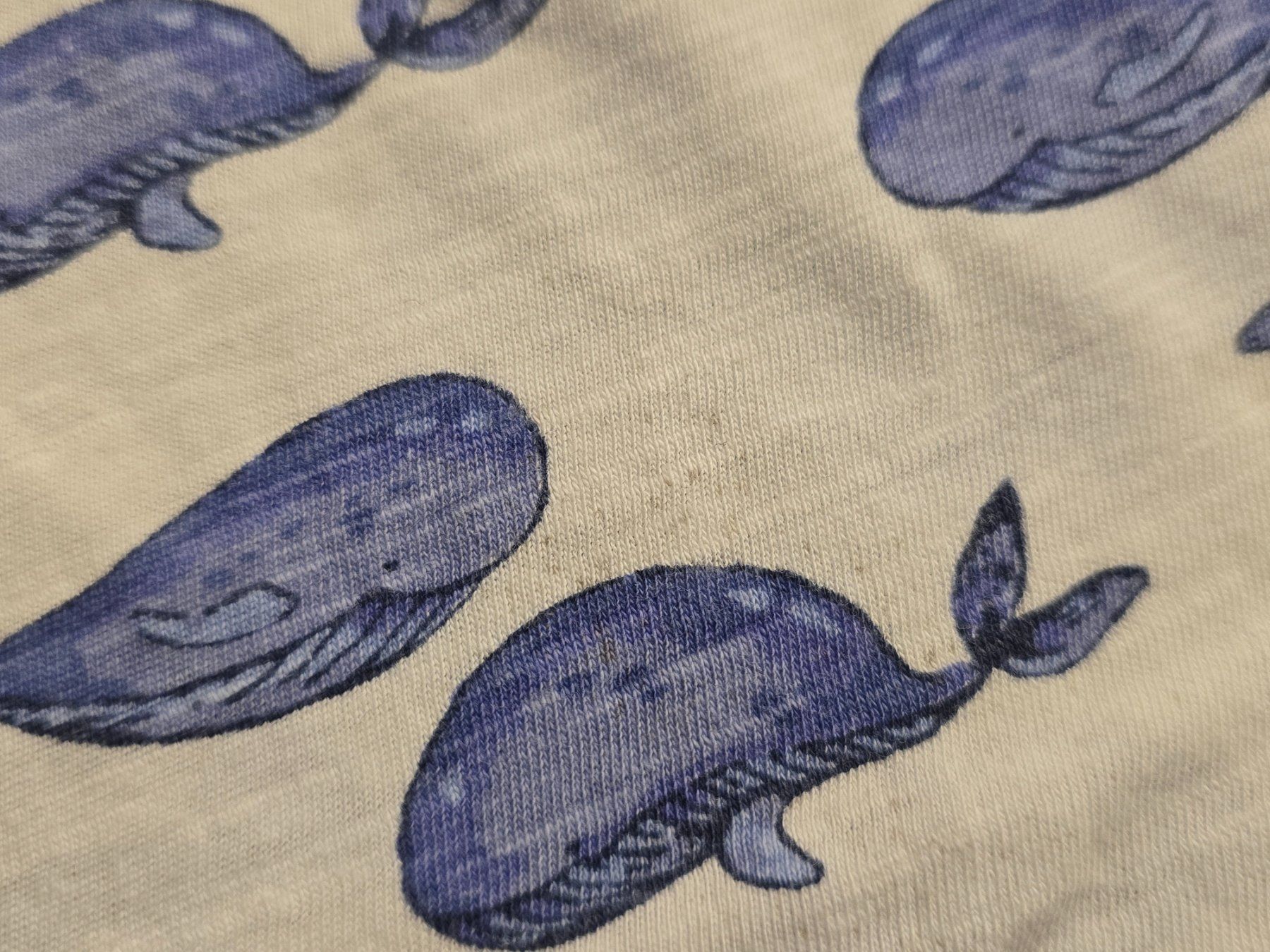 Camicette, T-shirt & Top: T-Shirt Gr. 116 / 122 – Usato da Büttikon AG venduto da Amineah 4
