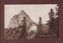 DENT DE JAMAN