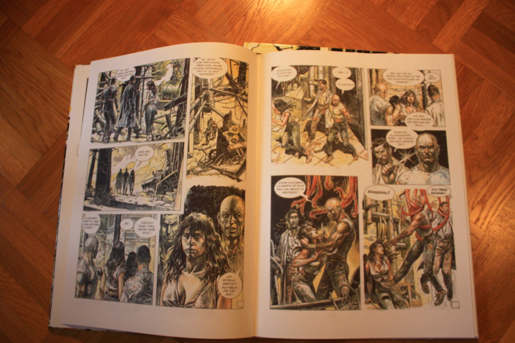 Comics: Serpieri: Morbus Gravis & Druuna (Morbus Gravis 2) – Gebraucht aus Reigoldswil von someya 3