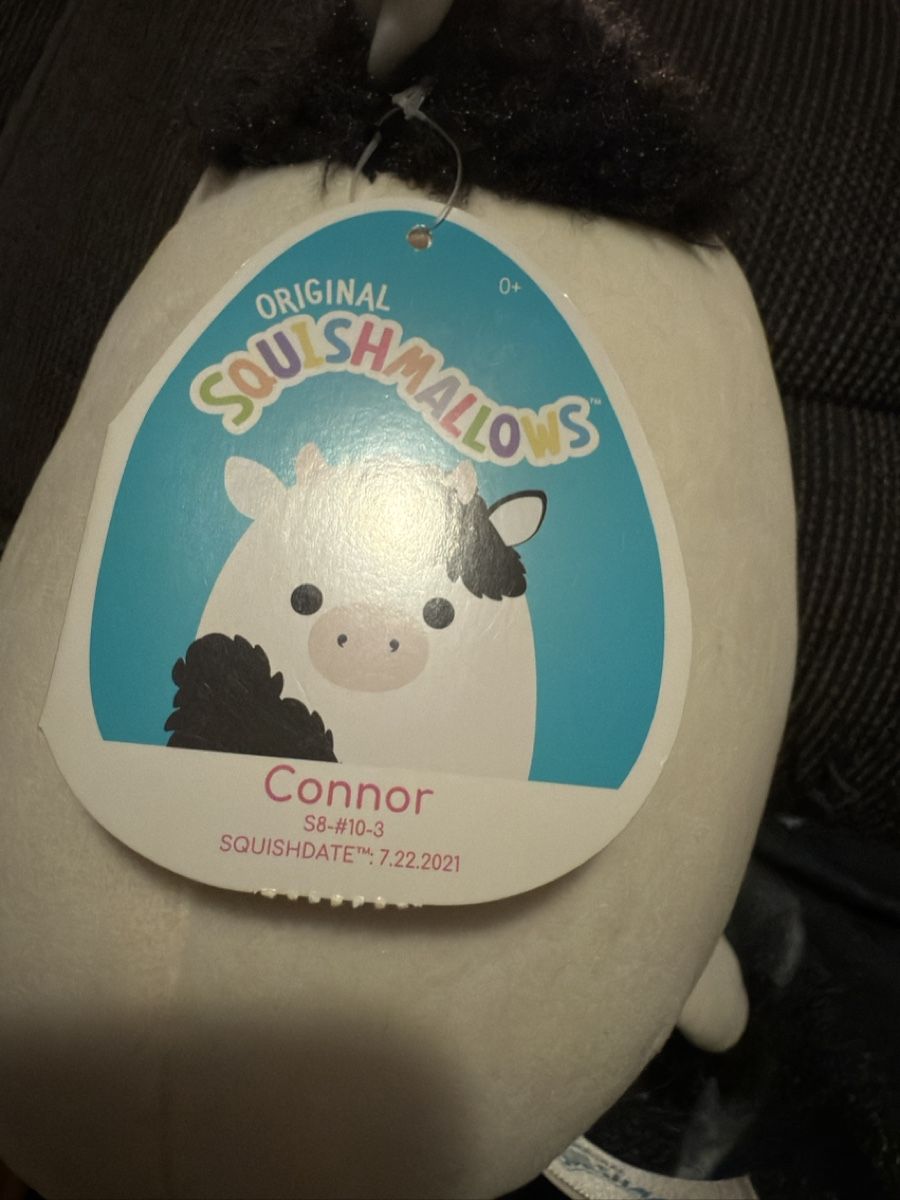 Squishmallows Giocattoli: Squishmallow Connor – Nuovo (secondo la descrizione) da St. Gallen venduto da jennu7 1