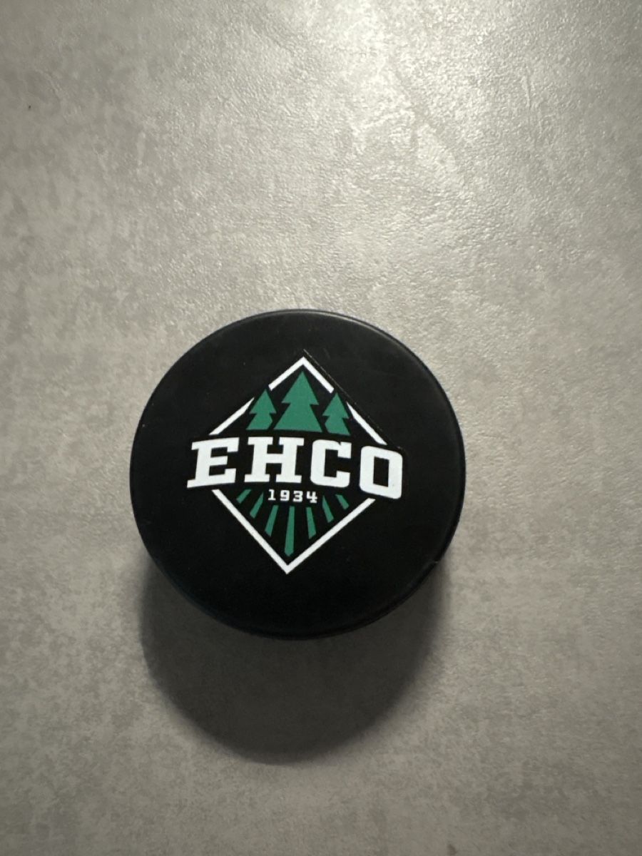 Palloni: EHCO Puck Burger King – Nuovo (secondo la descrizione) da Leibstadt venduto da gia_j89g