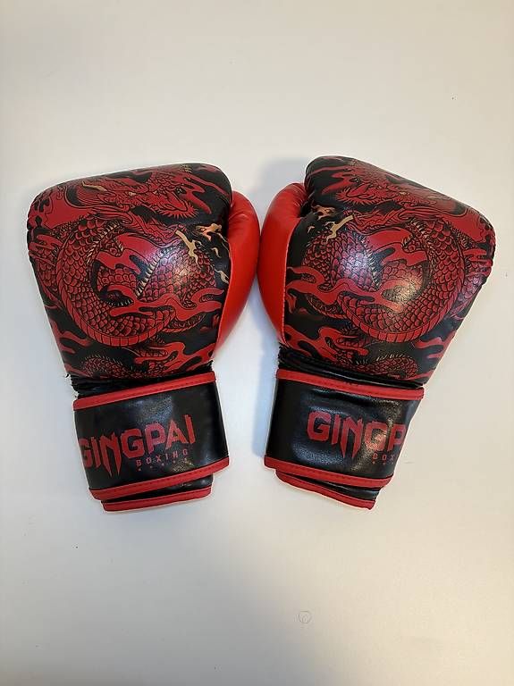 Handschuhe & Handstulpen: Boxhandschuhe mit Drachenmotiv  auffälliges Design – Gebraucht aus Basel von alex.dipietro