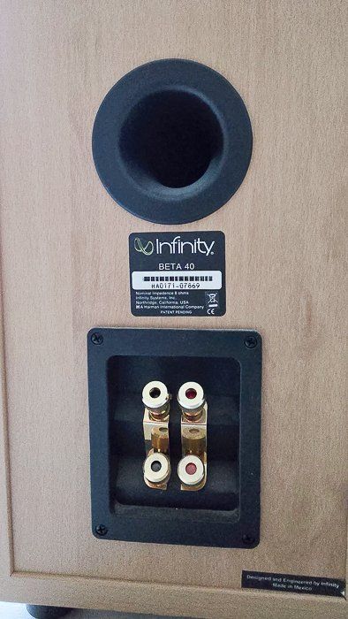 Infinity Casse acustiche: Enceinte Infinity – Usato da Saxon venduto da Dud3 1