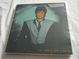 12" Schallplatte - Fancy - flames of love - Italo Disco